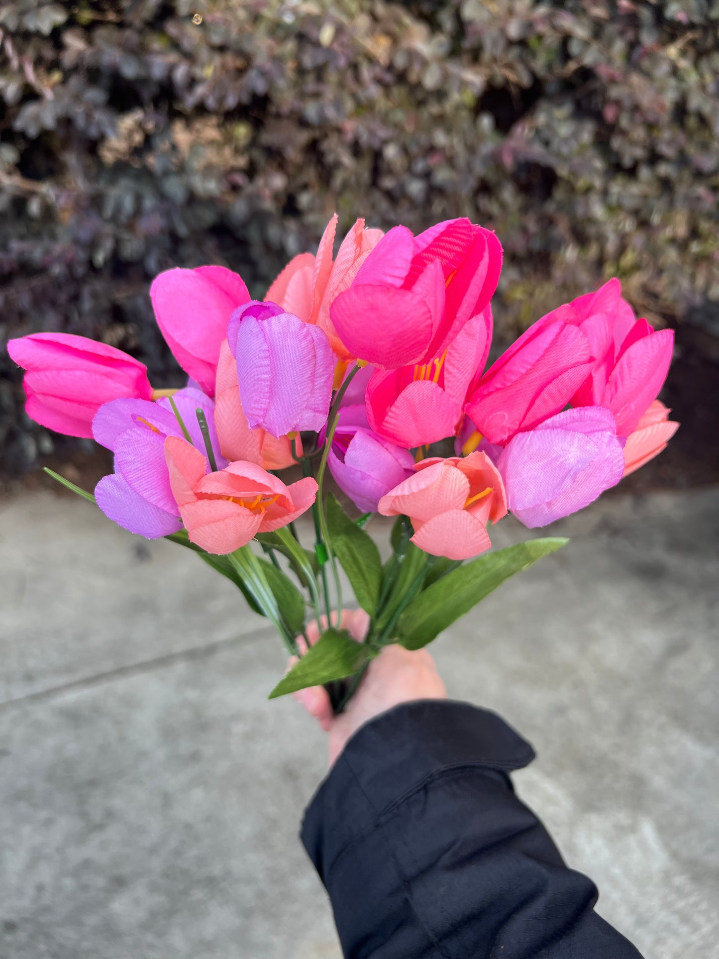 Tulip and Layered Ficus Wreath with Bow