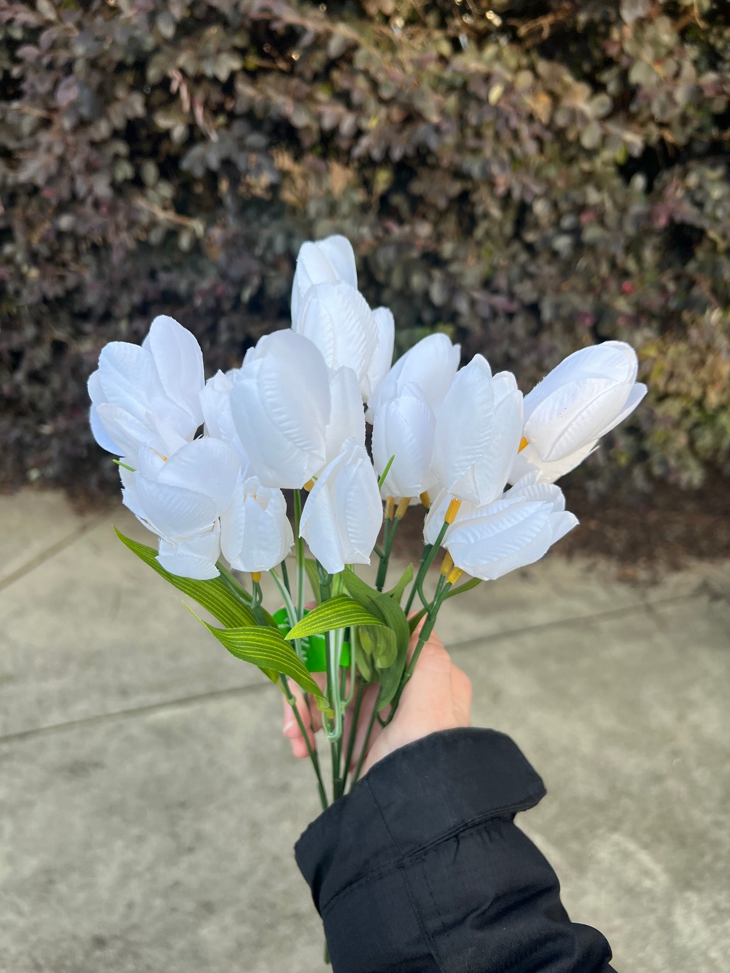 Full Tulip Wreath Multiple Color Options