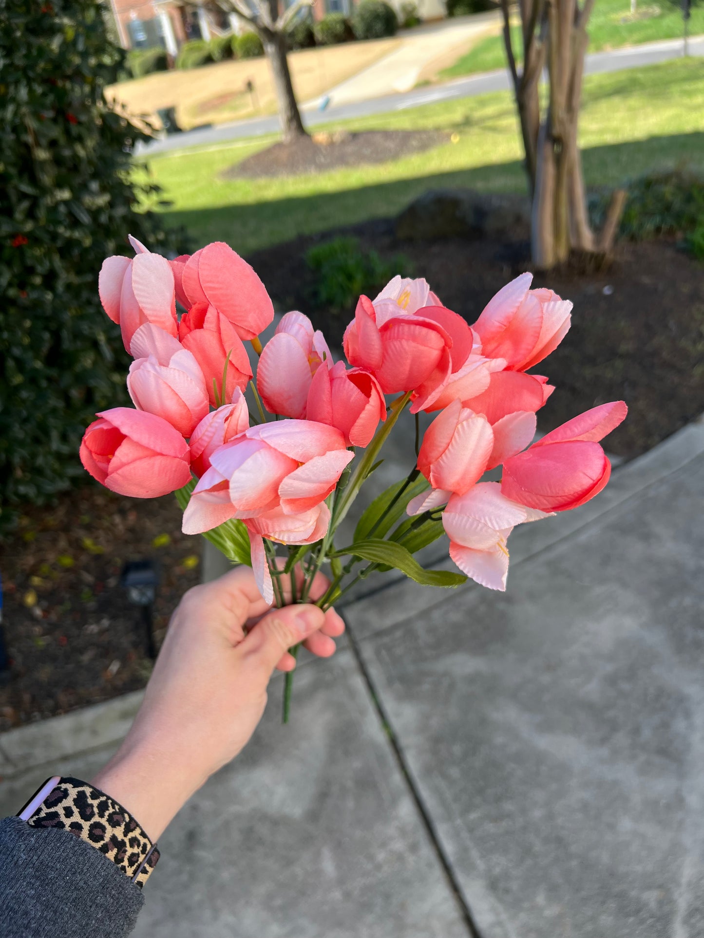 Tulip and Layered Ficus Wreath with Bow