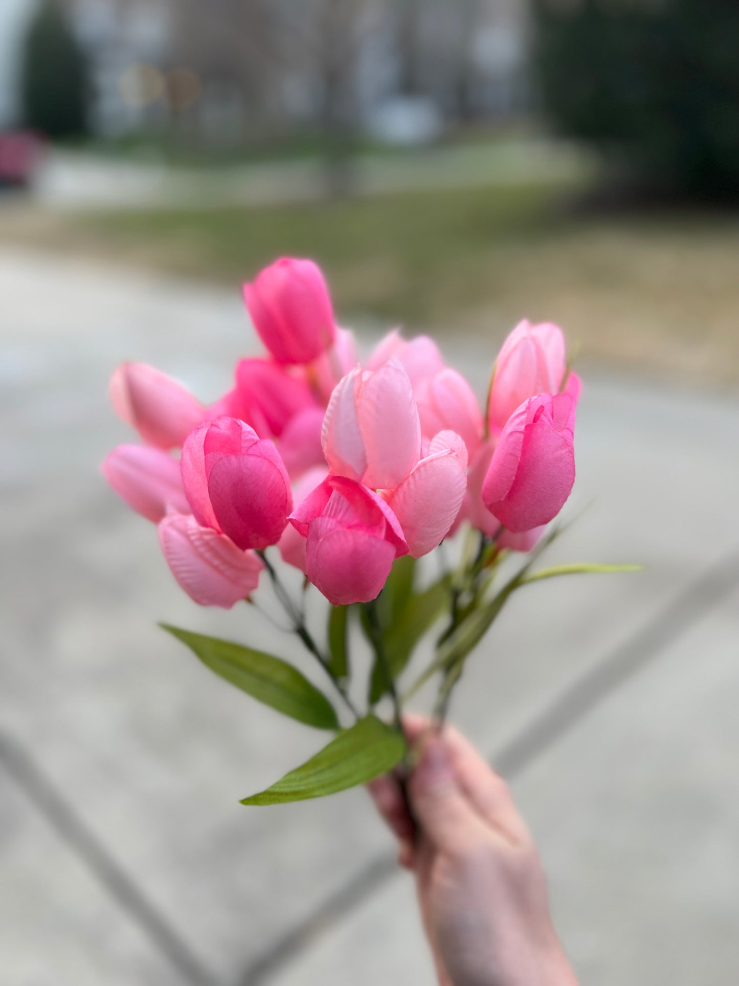 Tulip and Layered Ficus Wreath with Bow